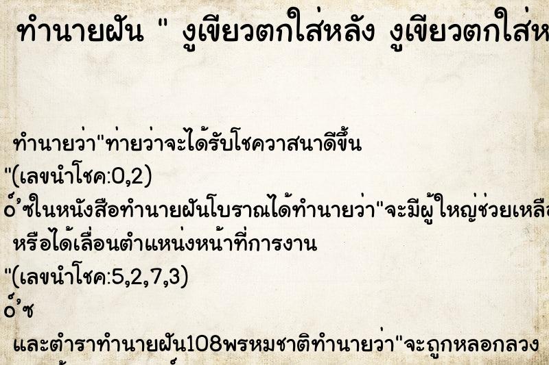 ทำนายฝัน  งูเขียวตกใส่หลัง งูเขียวตกใส่หลัง 